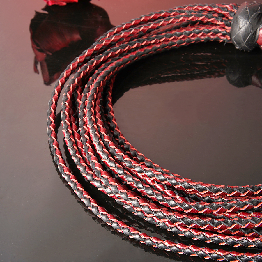 Eclipse Whip image1